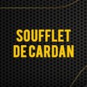 Soufflet de Cardan