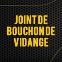 Joint de Bouchon de Vidange