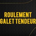 Roulement Galet Tendeur