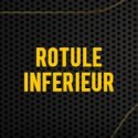 Rotule Inférieure